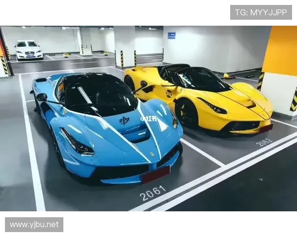 汪顺的日常光靠一个豪车车库，估计隔壁邻居都得羡慕哭